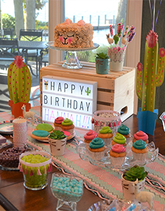 Themed birthday party