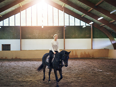 Adult Riding Lessons