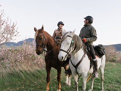Group Riding Lessons