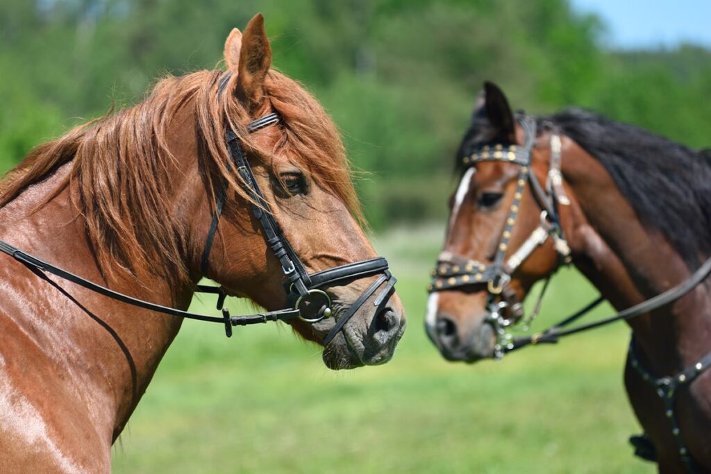 image (7)-min