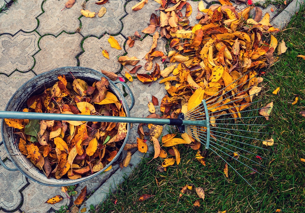 Garden Clearance-min
