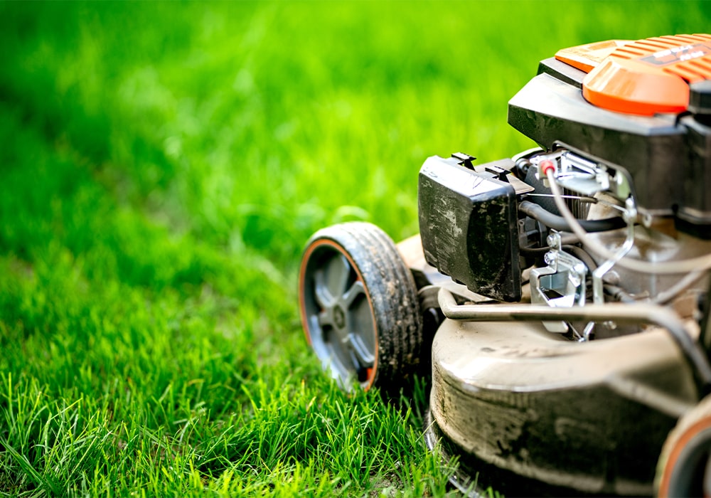 Lawn and Garden Maintenance-min