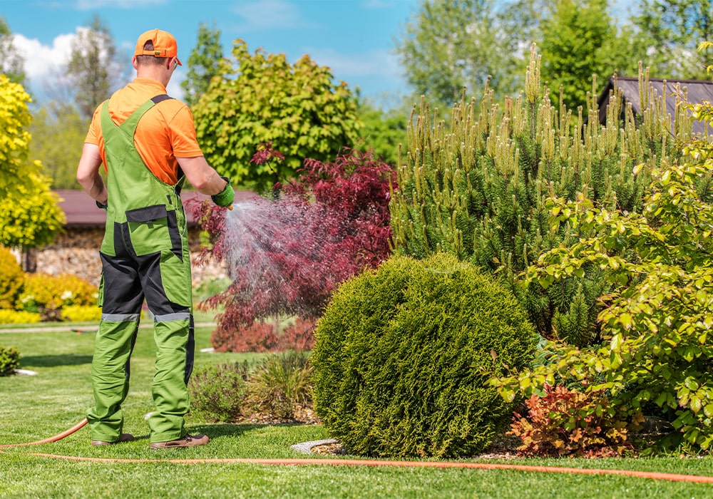 Watering and Irigation-min