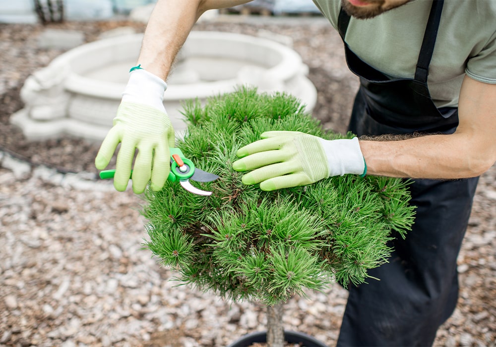 coration and Landscaping-min