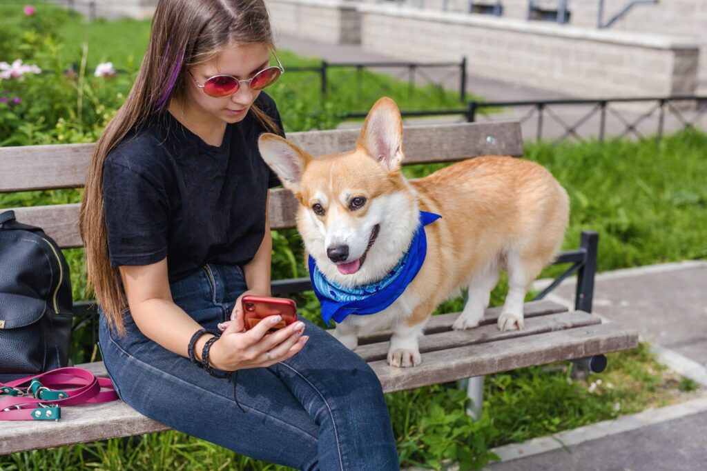 A young woman and her pet Corgi dog are sitting on the street and looking at the phone