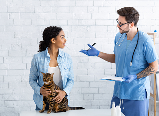 Cat owner with pet communicating to male veterinarian at medical office