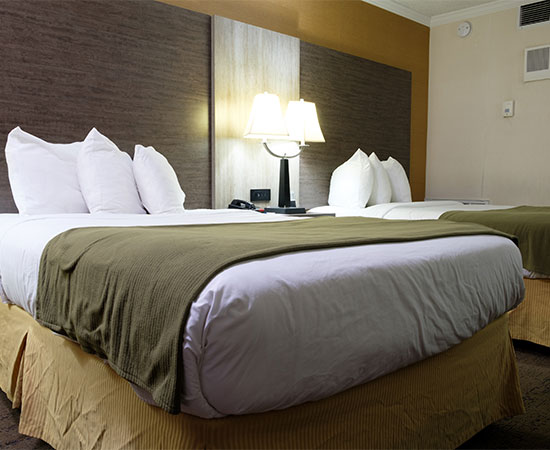 Standard double beds hotel room